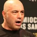 Joe Rogan