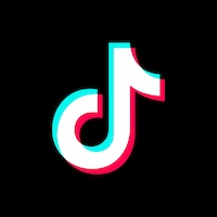 Voice Icon